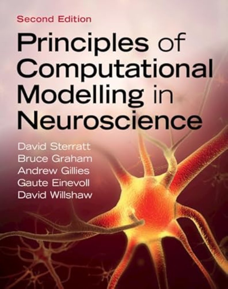 Principles of Computational Modelling in Neuroscience