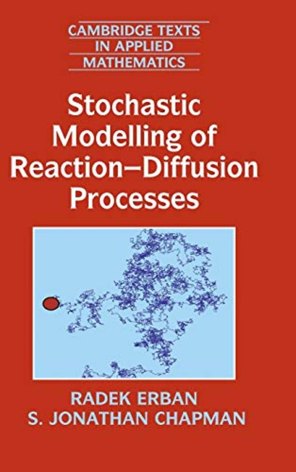 Stochastic Modelling of Reaction–Diffusion Processes