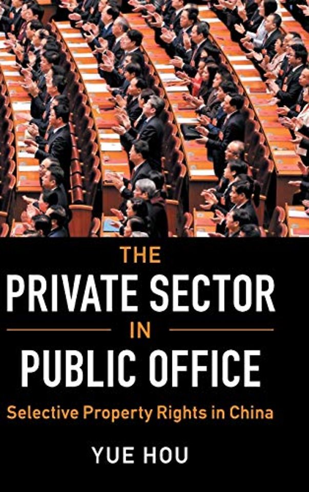 The Private Sector in Public Office