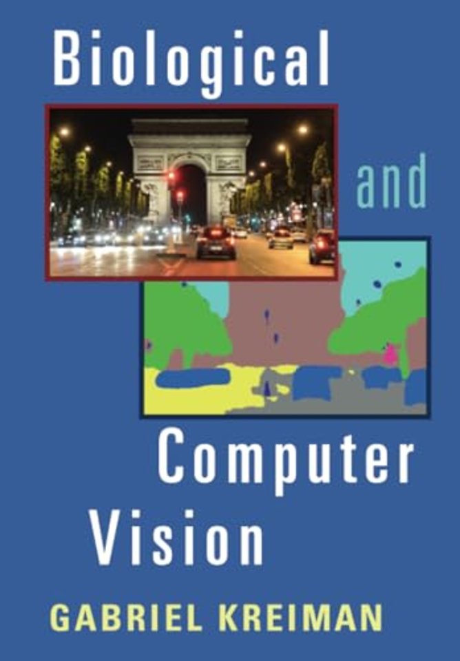 Biological and Computer Vision