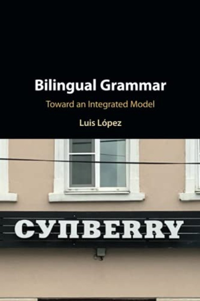 Bilingual Grammar