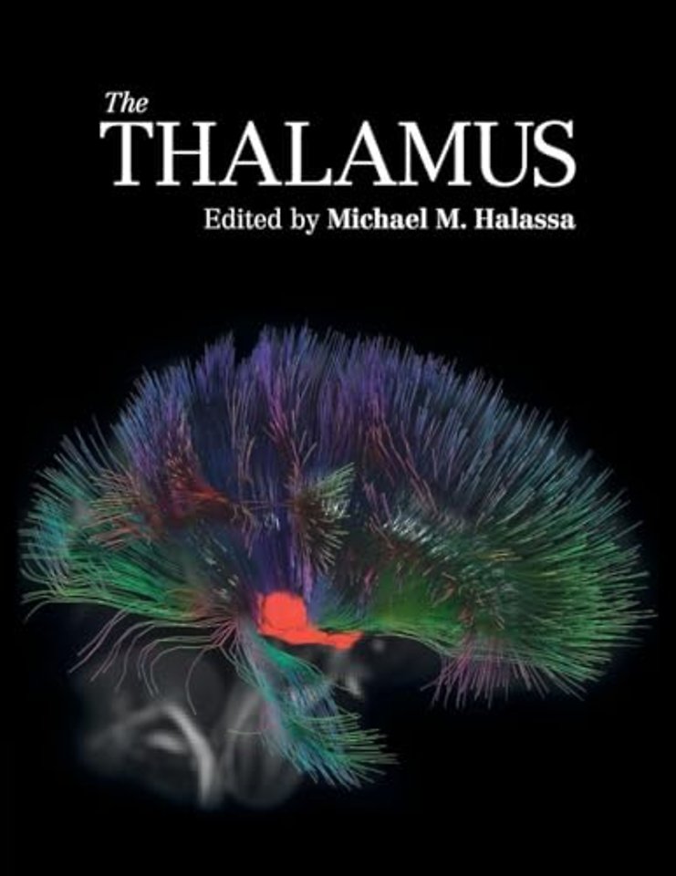 The Thalamus