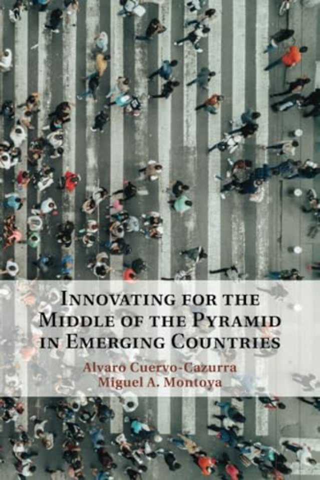 Innovating for the Middle of the Pyramid in Emerging Countries