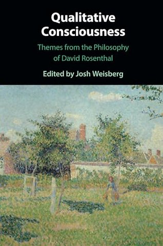 Qualitative Consciousness