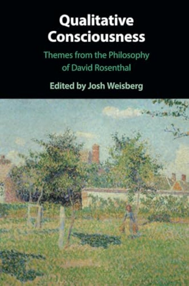 Qualitative Consciousness