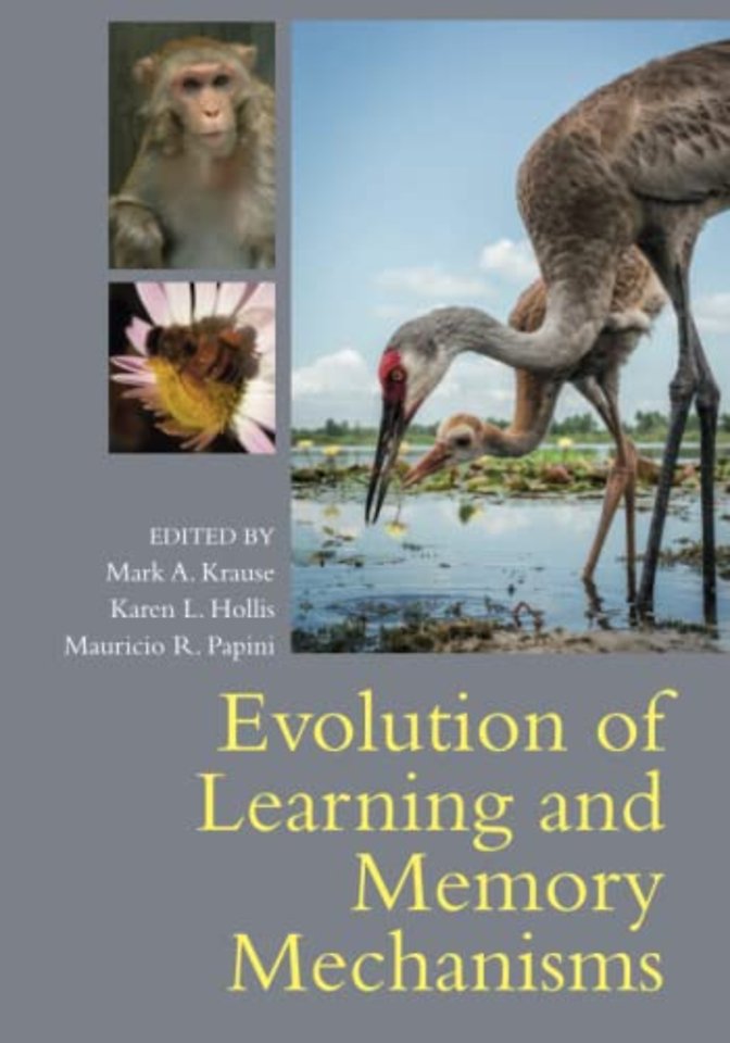 Evolution of Learning and Memory Mechanisms