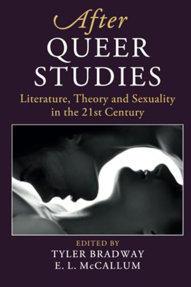 After Queer Studies