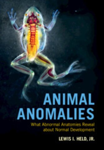 Animal Anomalies