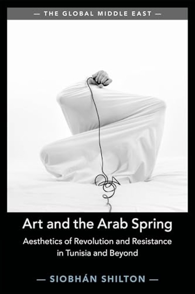 Art and the Arab Spring