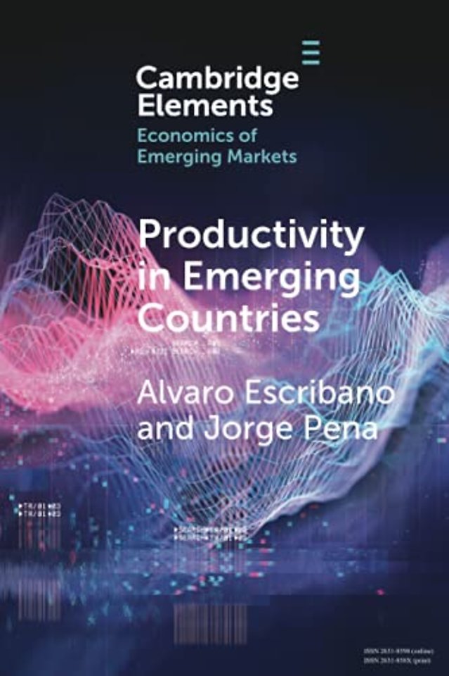 Productivity in Emerging Countries
