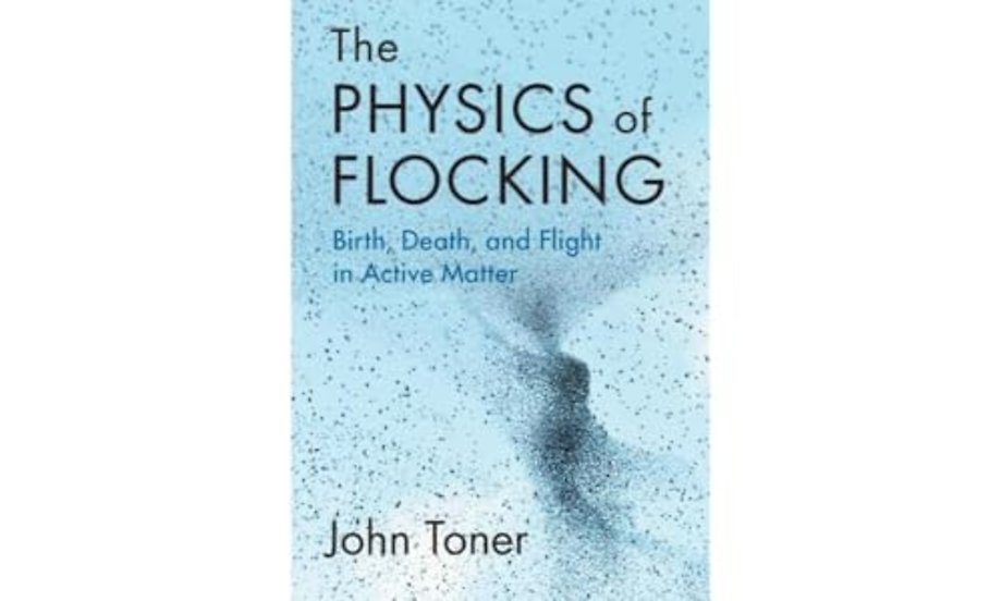 The Physics of Flocking