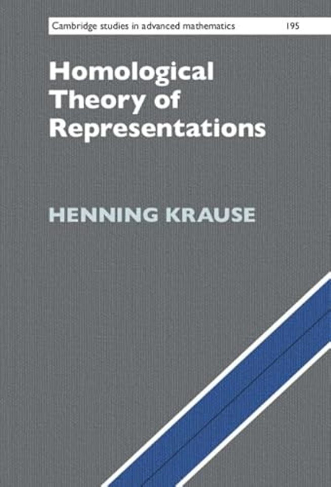 Homological Theory of Representations