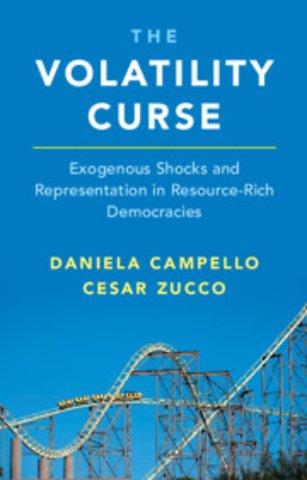 The Volatility Curse
