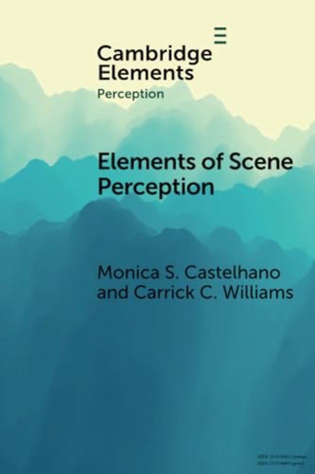 Elements of Scene Perception