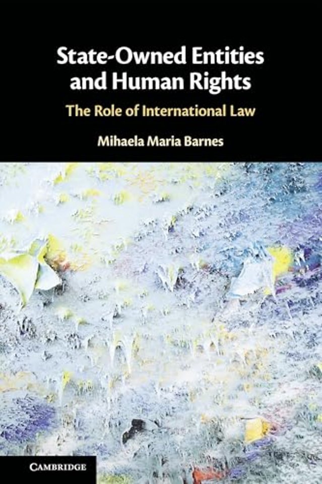 State-Owned Entities and Human Rights
