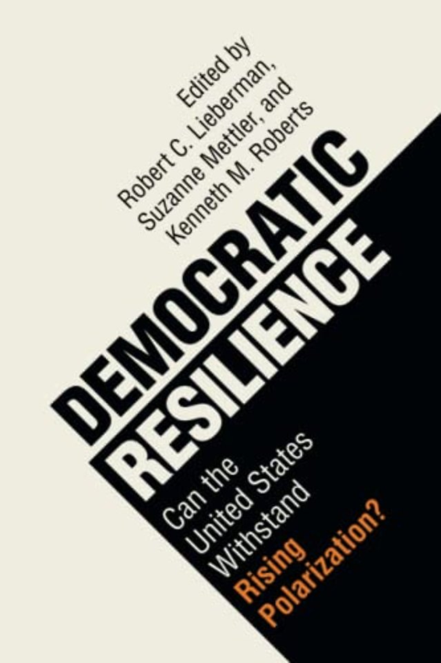 Democratic Resilience
