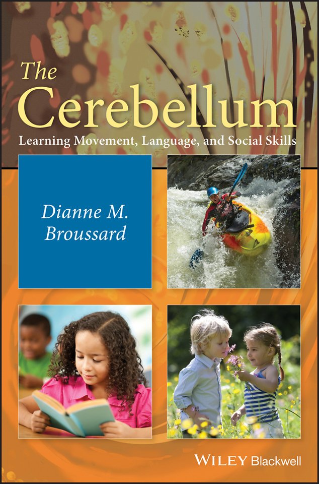 The Cerebellum – Learning Movement, Language, and Social Skills