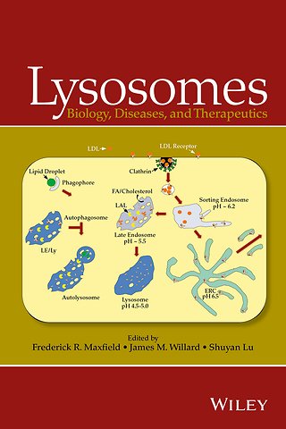 Lysosomes