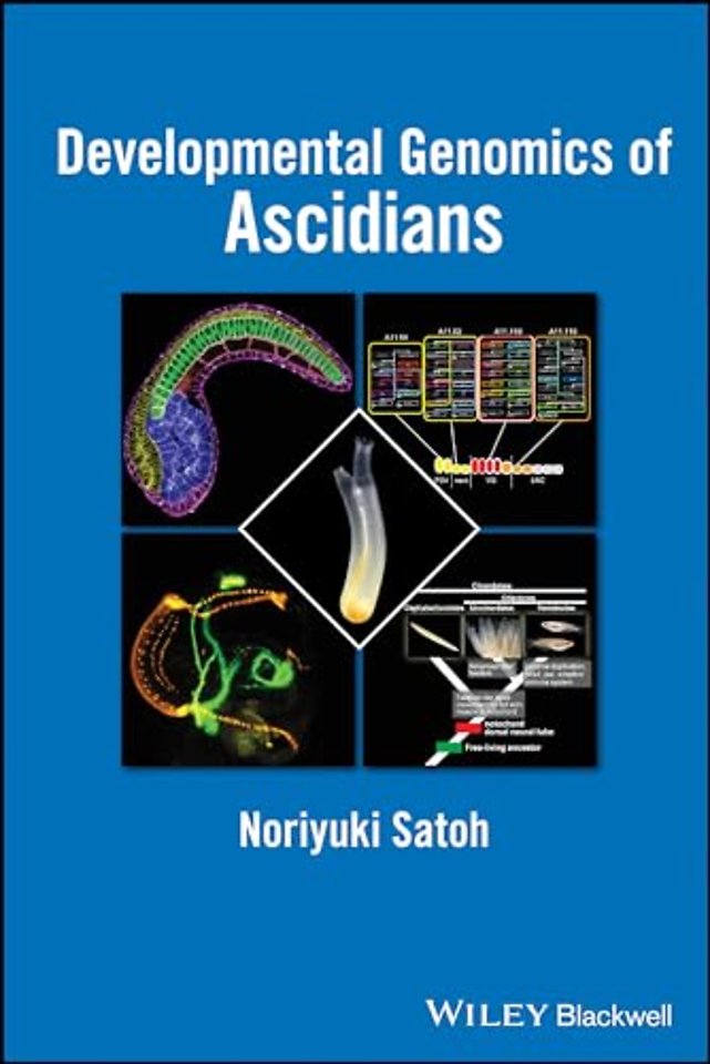Developmental Genomics of Ascidians