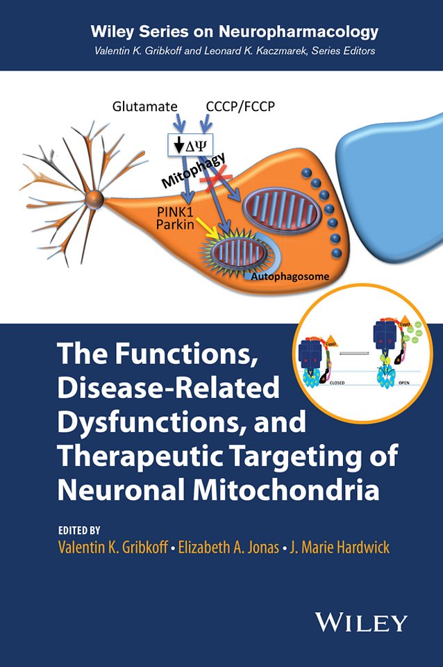 The Functions, Disease–Related Dysfunctions, and Therapeutic Targeting of Neuronal Mitochondria