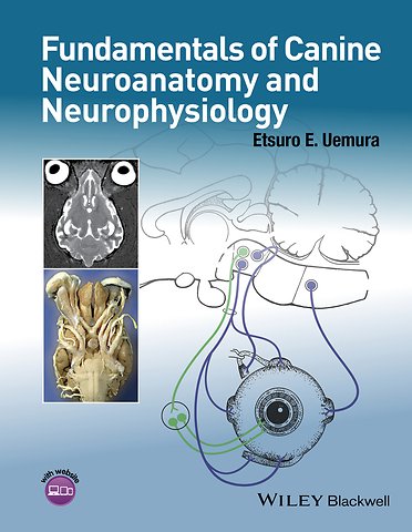 Canine Neuroanatomy