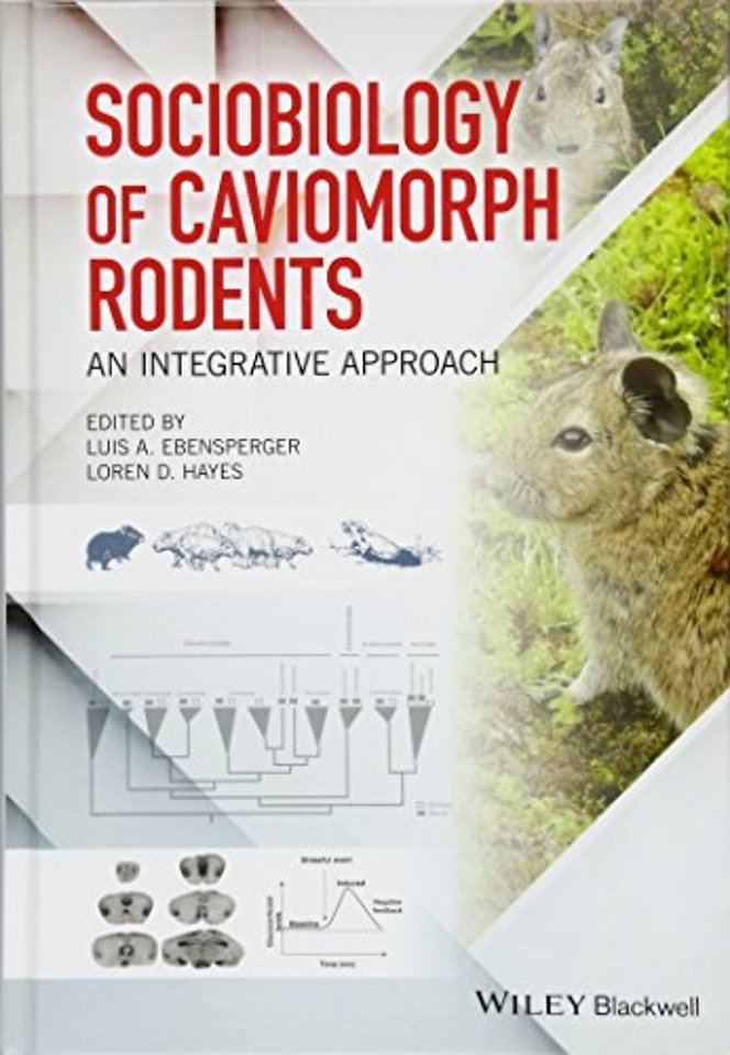 Sociobiology of Caviomorph Rodents