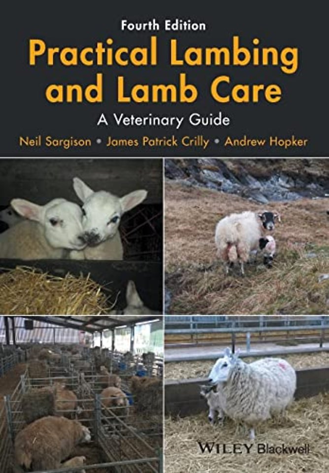 Practical Lambing and Lamb Care – A Veterinary Guide