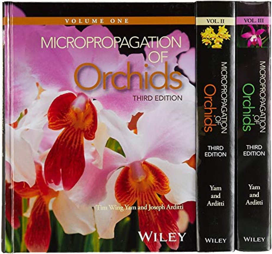 Micropropagation of Orchids