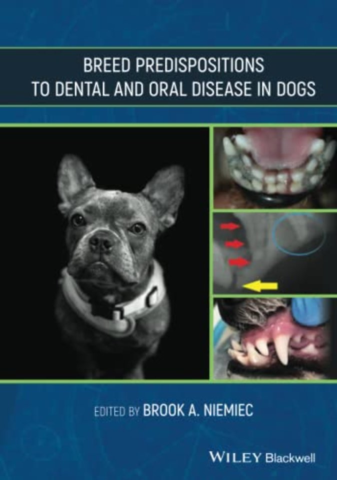 Breed Predispositions to Dental and Oral Disease in Dogs