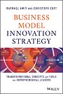 Business Model Innovation Strategy