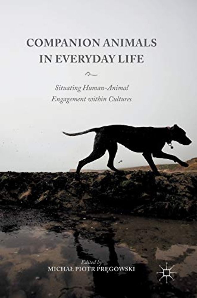 Companion Animals in Everyday Life