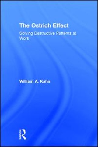 Ostrich Effect