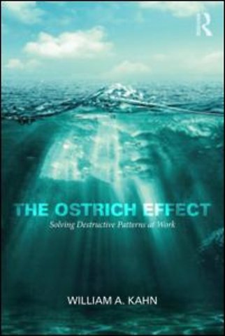 Ostrich Effect