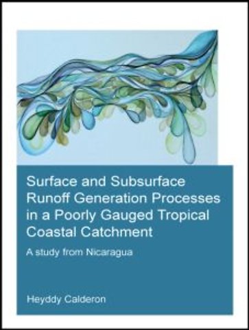 Surface and Subsurface Runoff Generation Processes in a Poorly Gauged Tropical Coastal Catchment