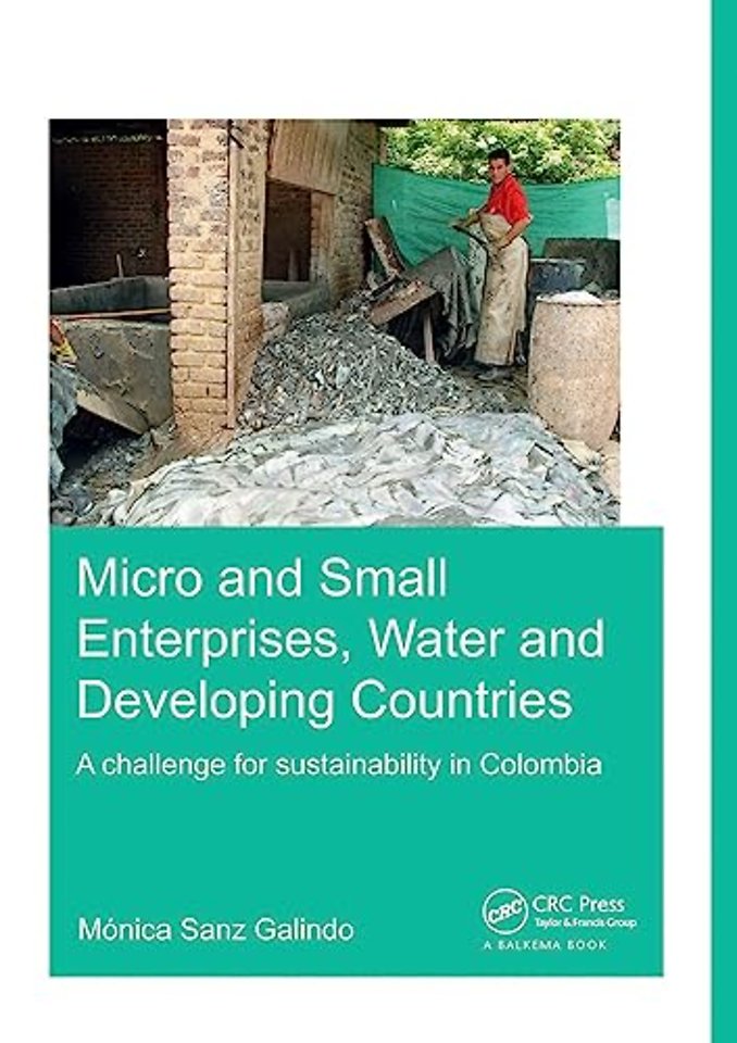 Micro and Small Enterprises, Water and Developing Countries