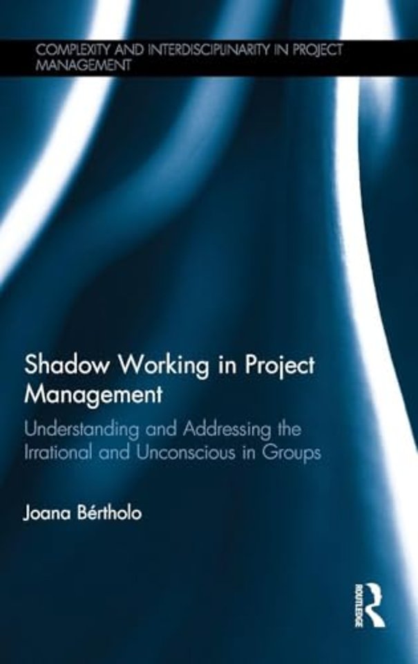 Shadow Working in Project Management