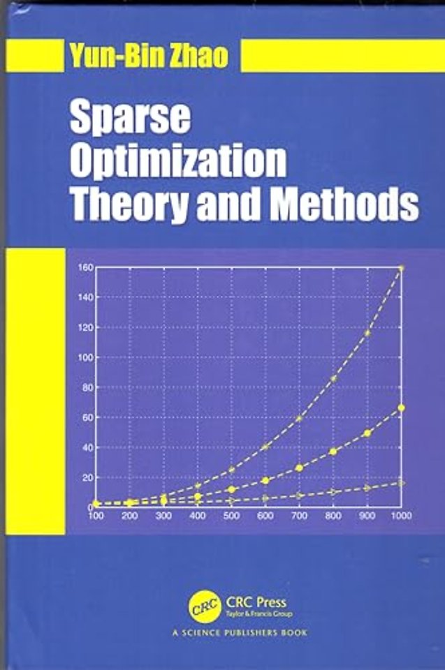 Sparse Optimization Theory and Methods