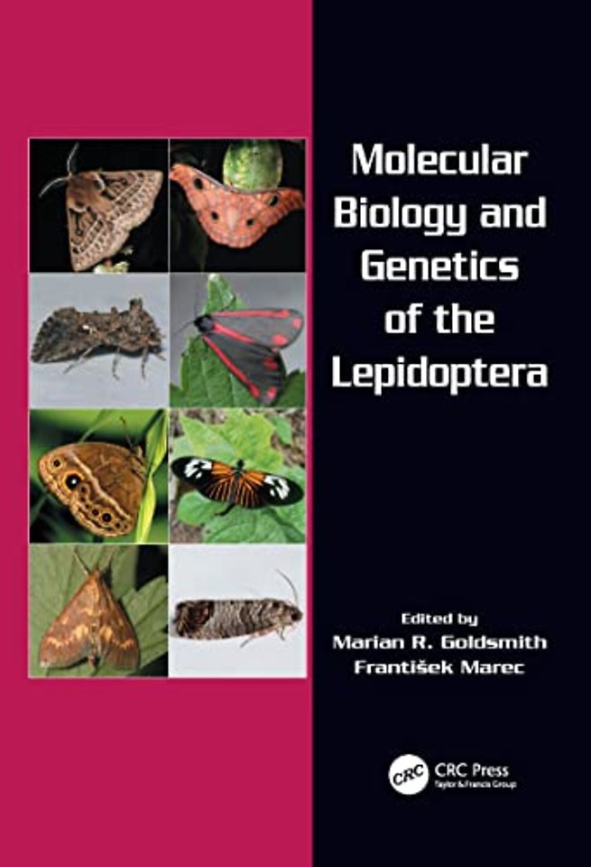 Molecular Biology and Genetics of the Lepidoptera