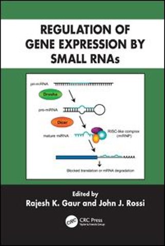 Regulation of Gene Expression by Small RNAs