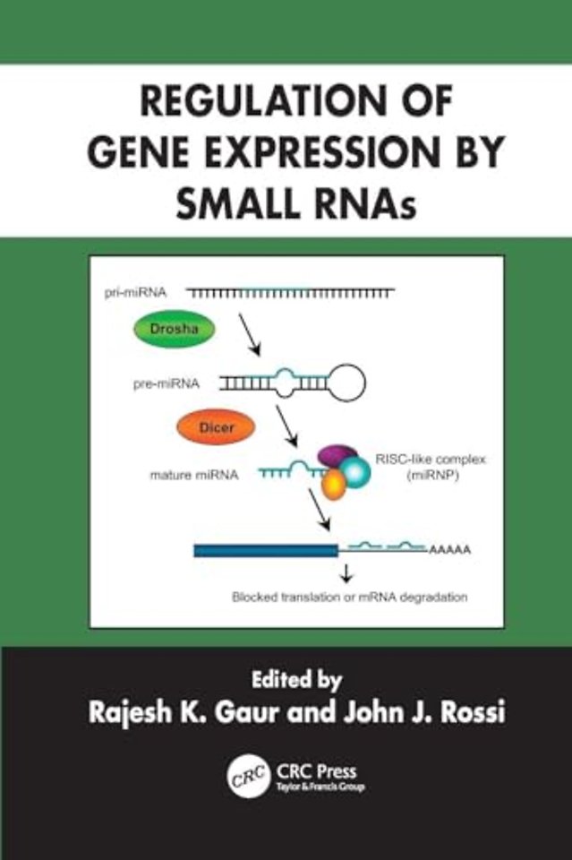 Regulation of Gene Expression by Small RNAs