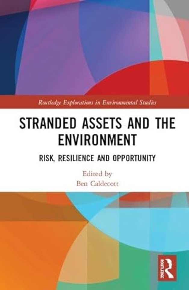 Stranded Assets and the Environment