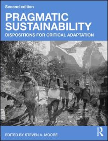 Pragmatic Sustainability