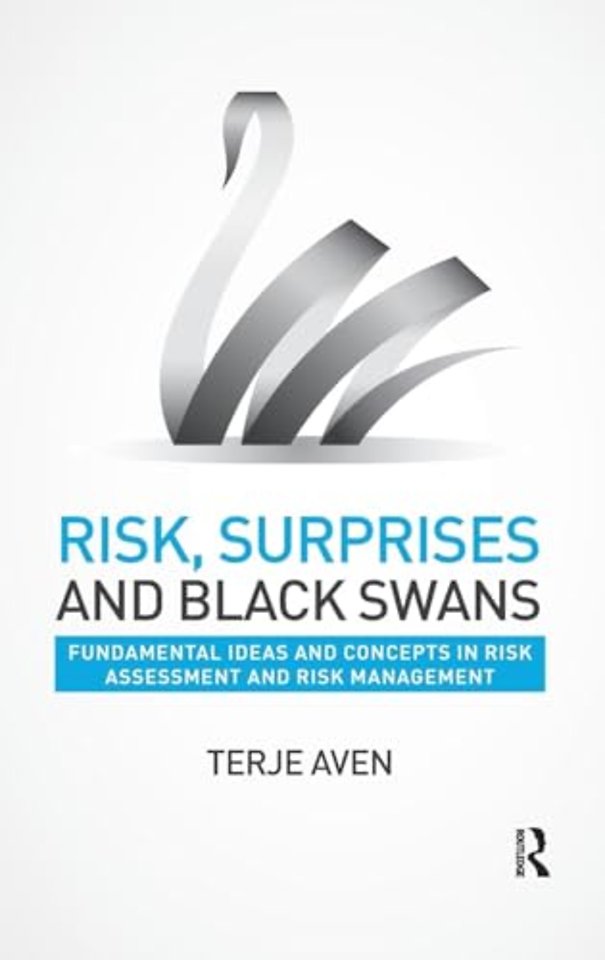 Risk, Surprises and Black Swans