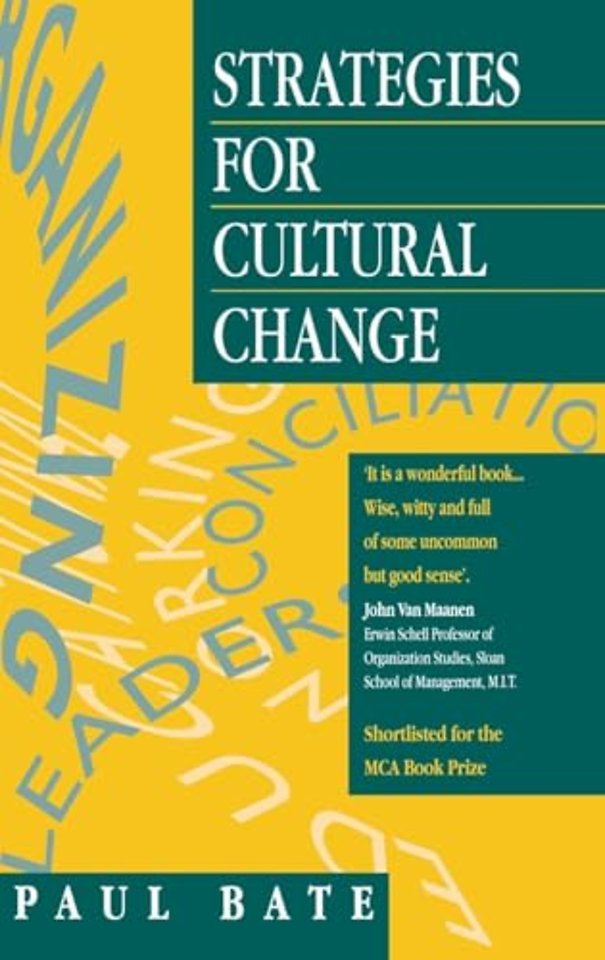 Strategies for Cultural Change