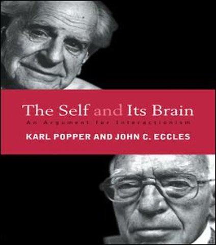 Self and Its Brain