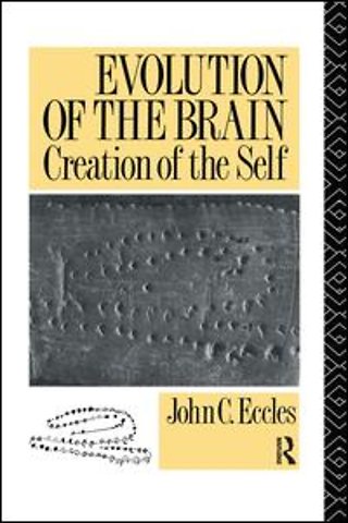 Evolution of the Brain: Creation of the Self