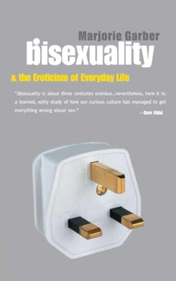 Bisexuality and the Eroticism of Everyday Life