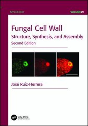Fungal Cell Wall