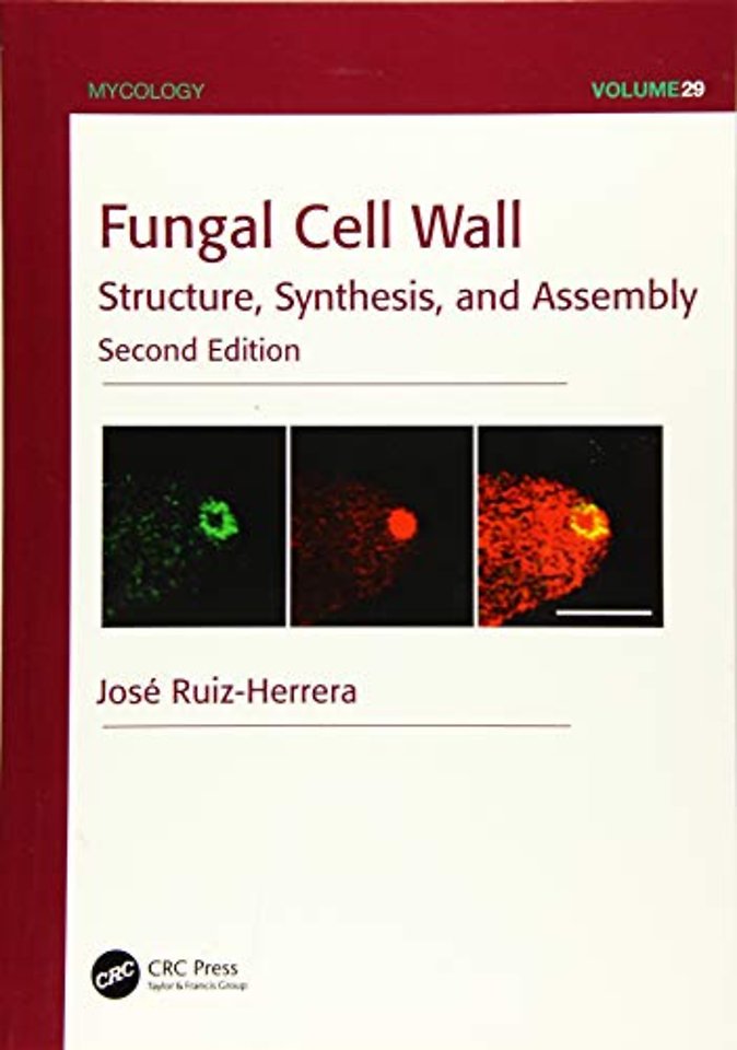 Fungal Cell Wall