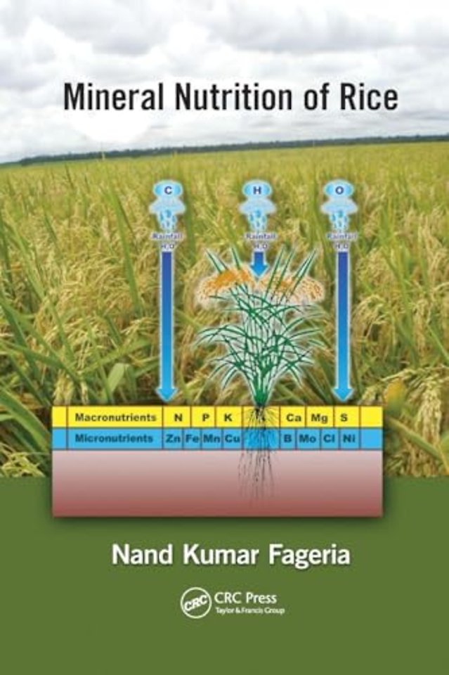 Mineral Nutrition of Rice